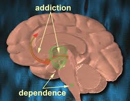 Vì sao nói nghiện là một bệnh não mạn tính (1)
